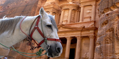 Trips to Petra from Eilat: The treasury