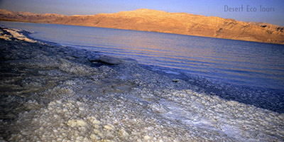 Dead Sea, Masada, Ein Gedi tour