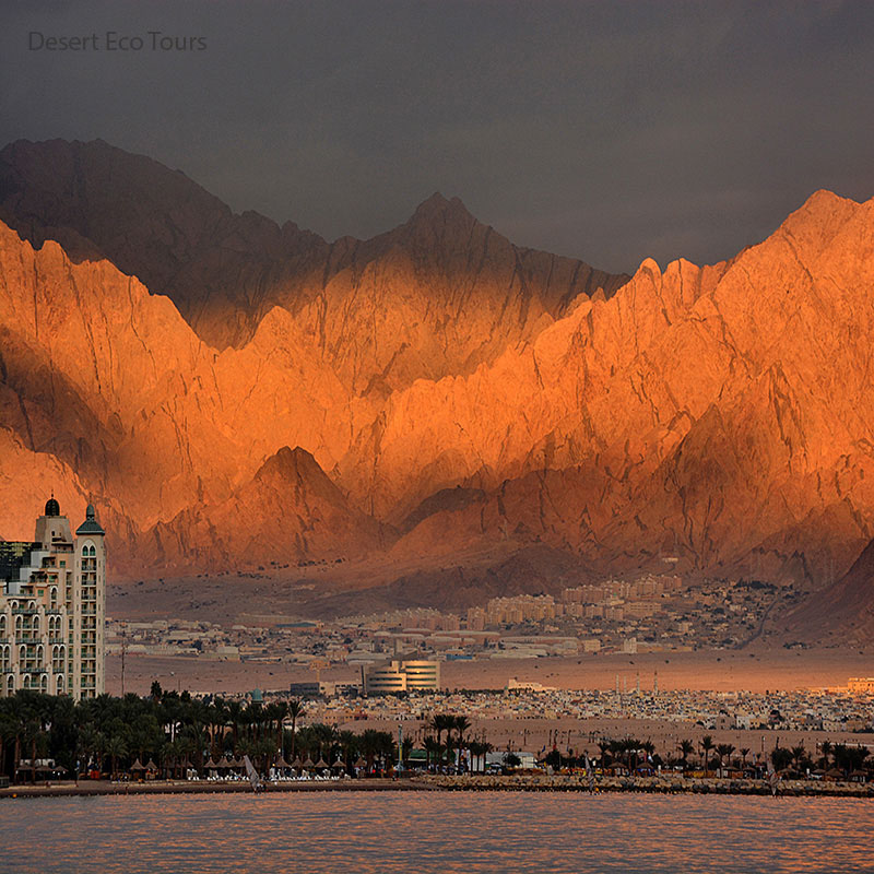 Eilat hotels on the Red Sea