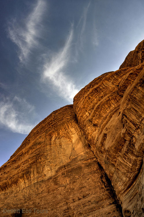 Petra & Wadi Rum tour