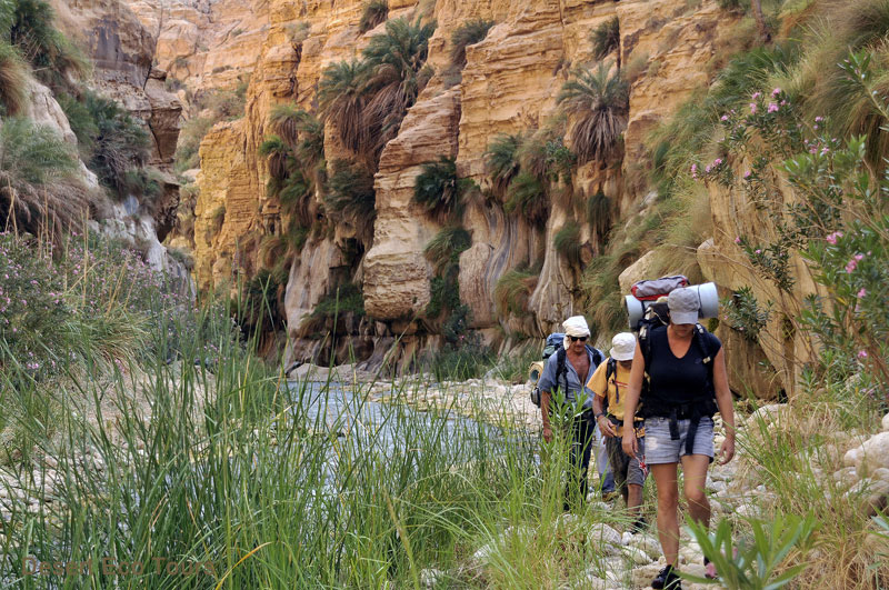 Hiking and trekking tours in Jordan