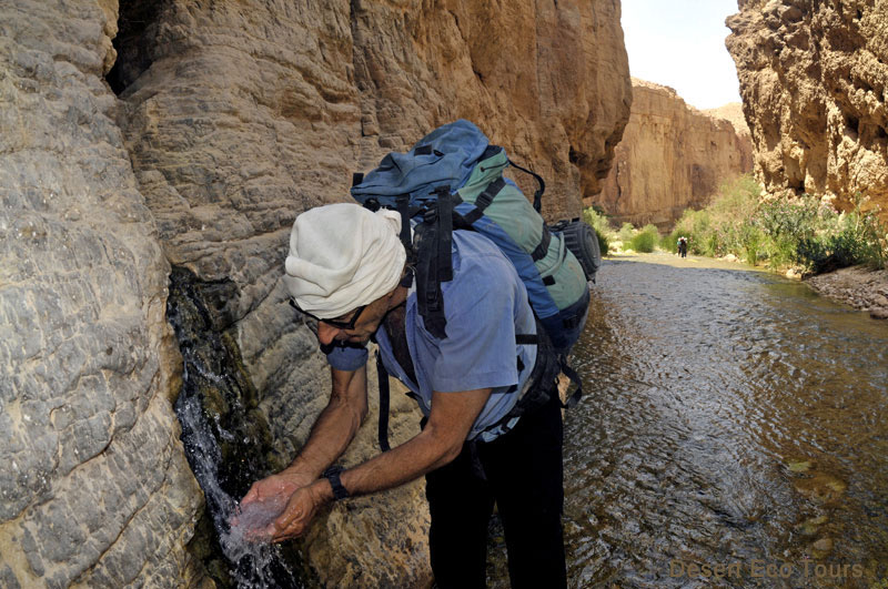 Hiking & trekking tours in Jordan
