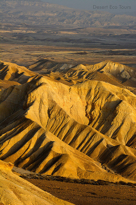 Negev tours: The Zin Valley