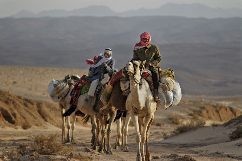 Jeep & camel tour in Sinai from Eilat
