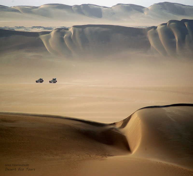 Jeep tours: Western desert of Egypt