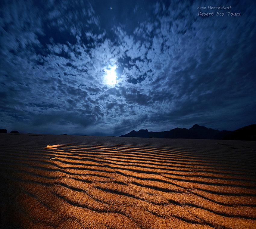 The desert by night: Jordan tours
