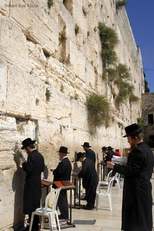 The Western
Wall- Jerusalem