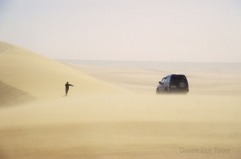 ג'יפים בנהיגה עצמית במדבר המערבי