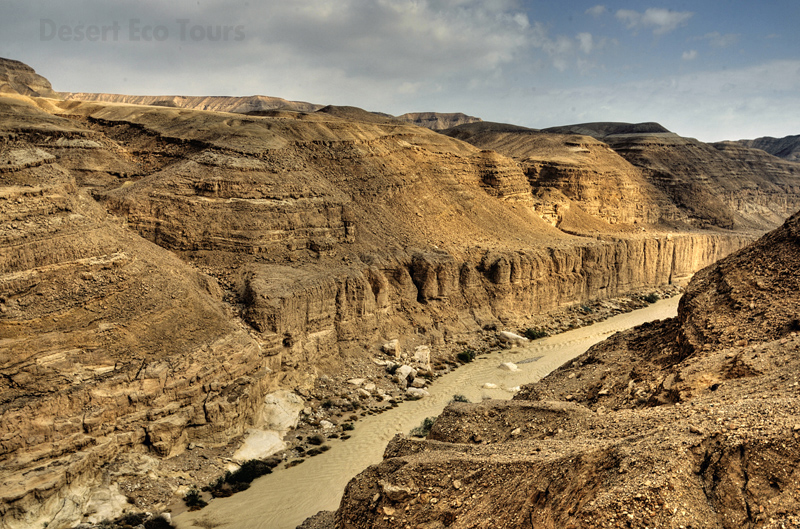 Wadi (Nahal) Zin tour- Negev desert