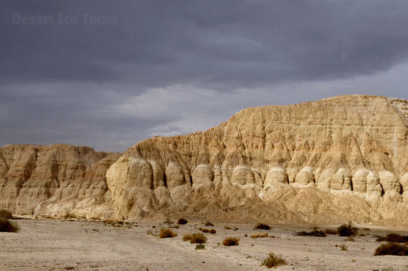 The Arava Valley- Jeep tours